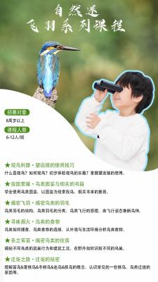 【飞羽系列课程】非常2+4，零基础到进阶课程，系统培养孩子一个终身爱好