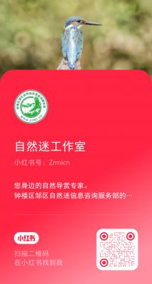 Camera_1722736924654.jpg