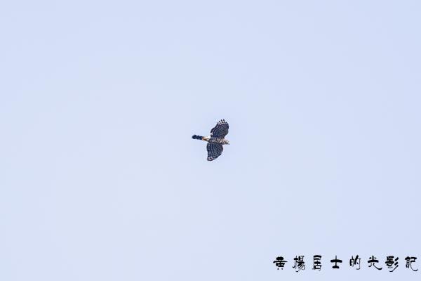 点击查看原图 _5QI2930.jpg